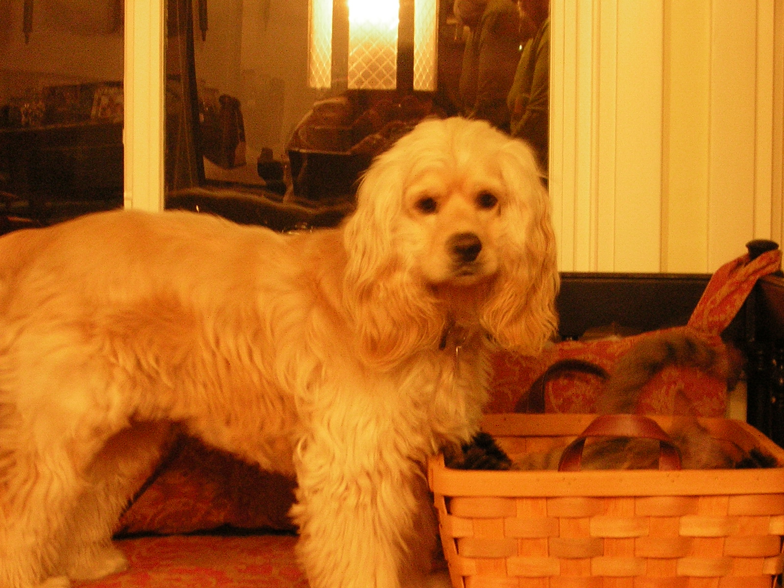 DSCN2792.jpg