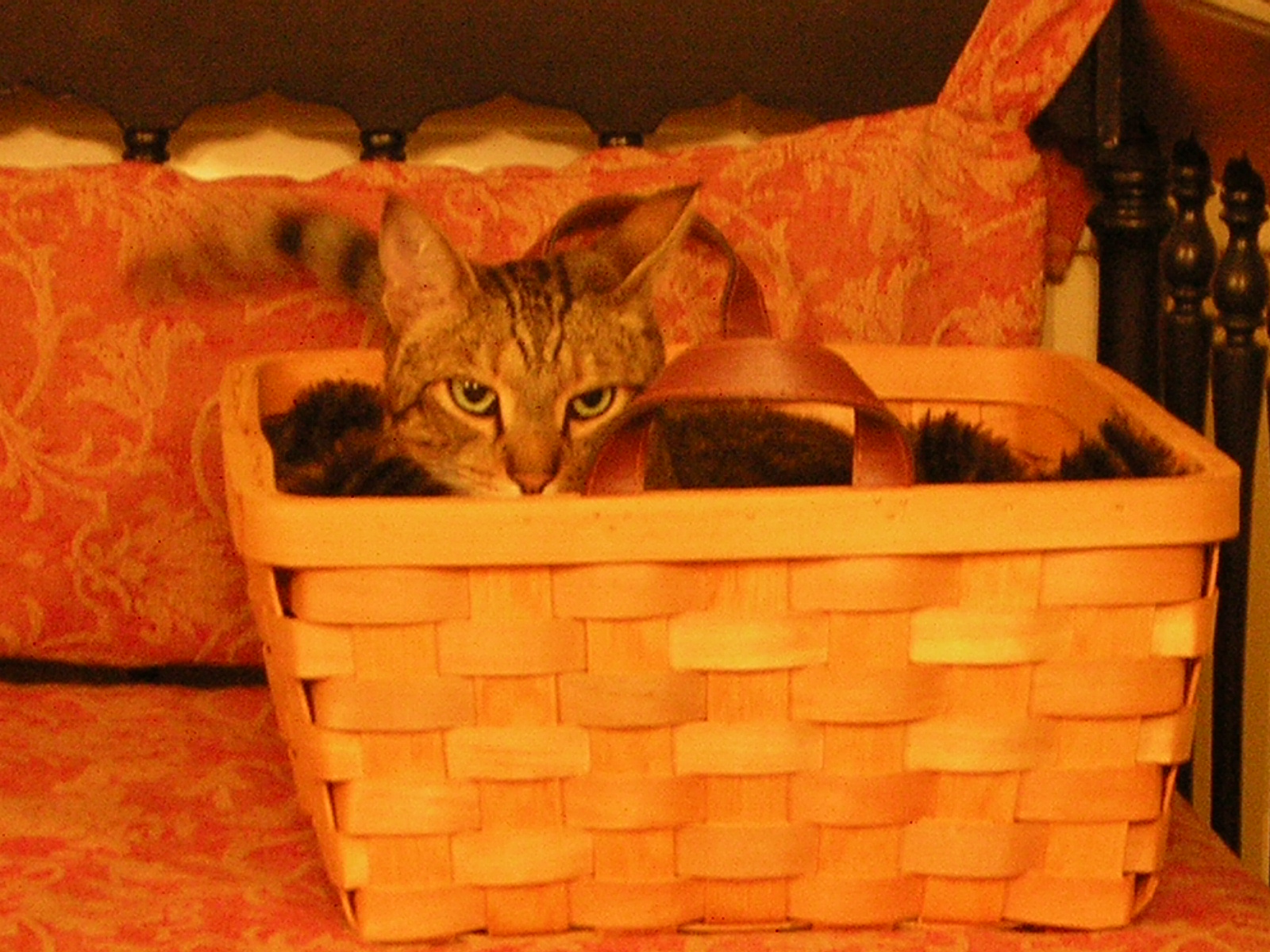 DSCN2793.jpg