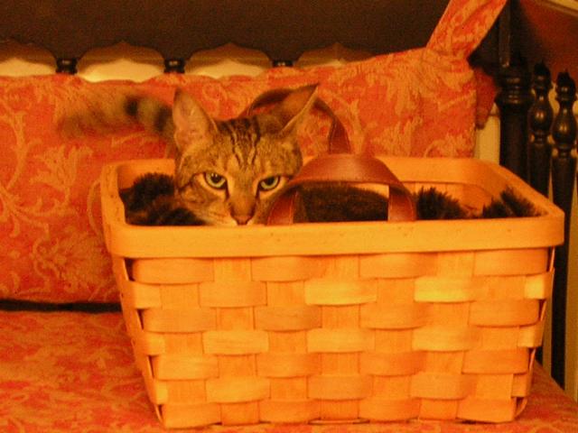 DSCN2793.jpg