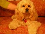 DSCN2796.jpg