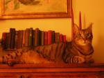 DSCN2803.jpg