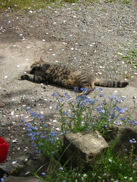 DSCN3070.jpg