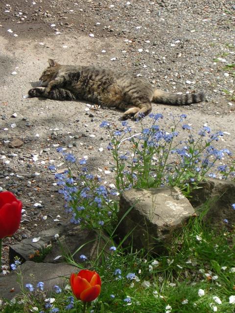DSCN3072.jpg