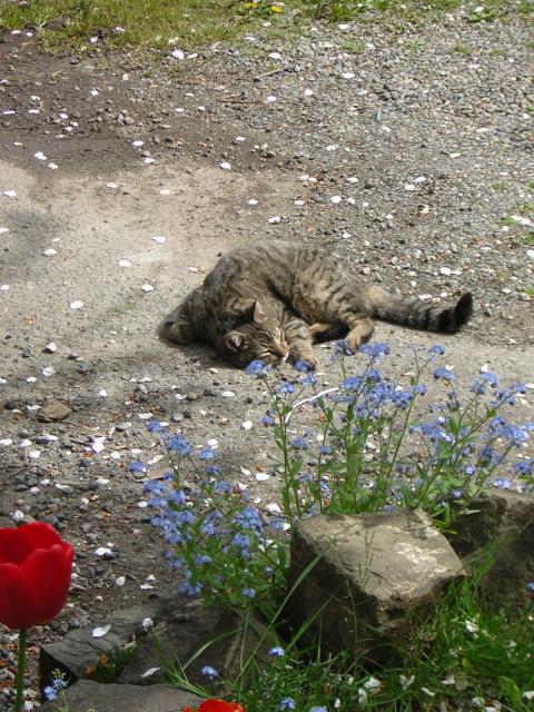 DSCN3073.jpg