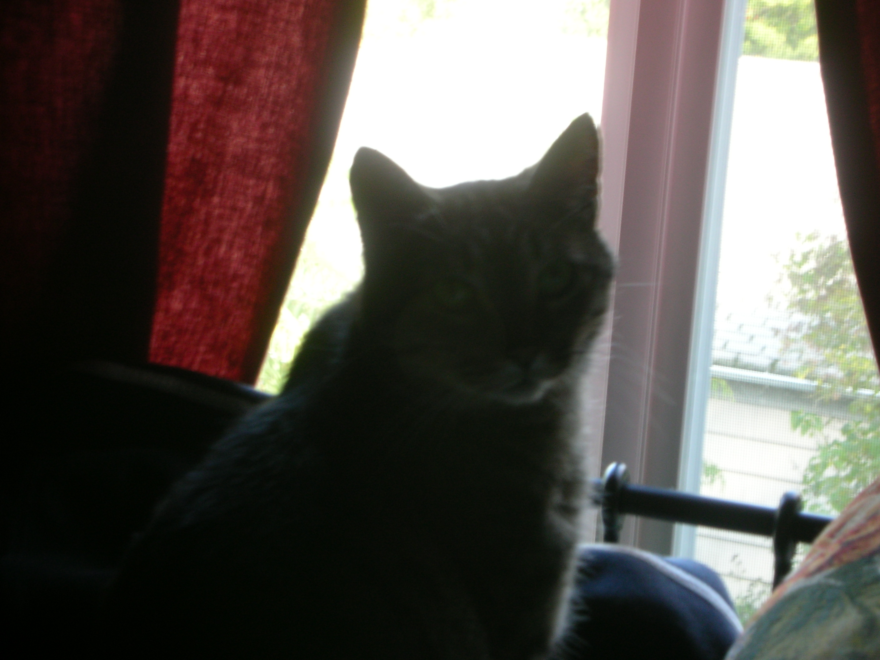 DSCN3815.jpg