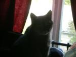 DSCN3815.jpg