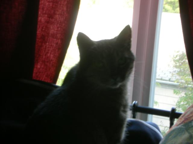 DSCN3815.jpg