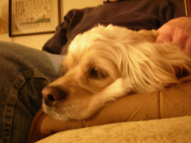 DSCN4438.jpg