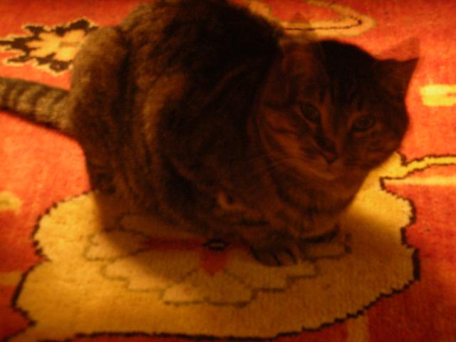 DSCN4034.jpg