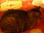 DSCN4035.jpg