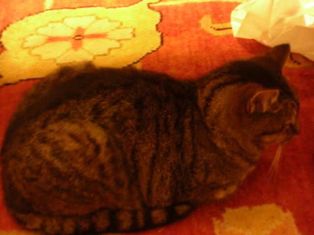 DSCN4035.jpg