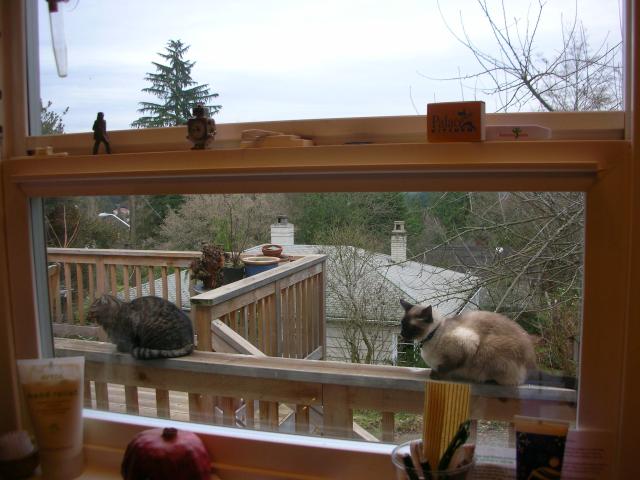 DSCN4052.jpg