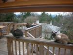 DSCN4053.jpg