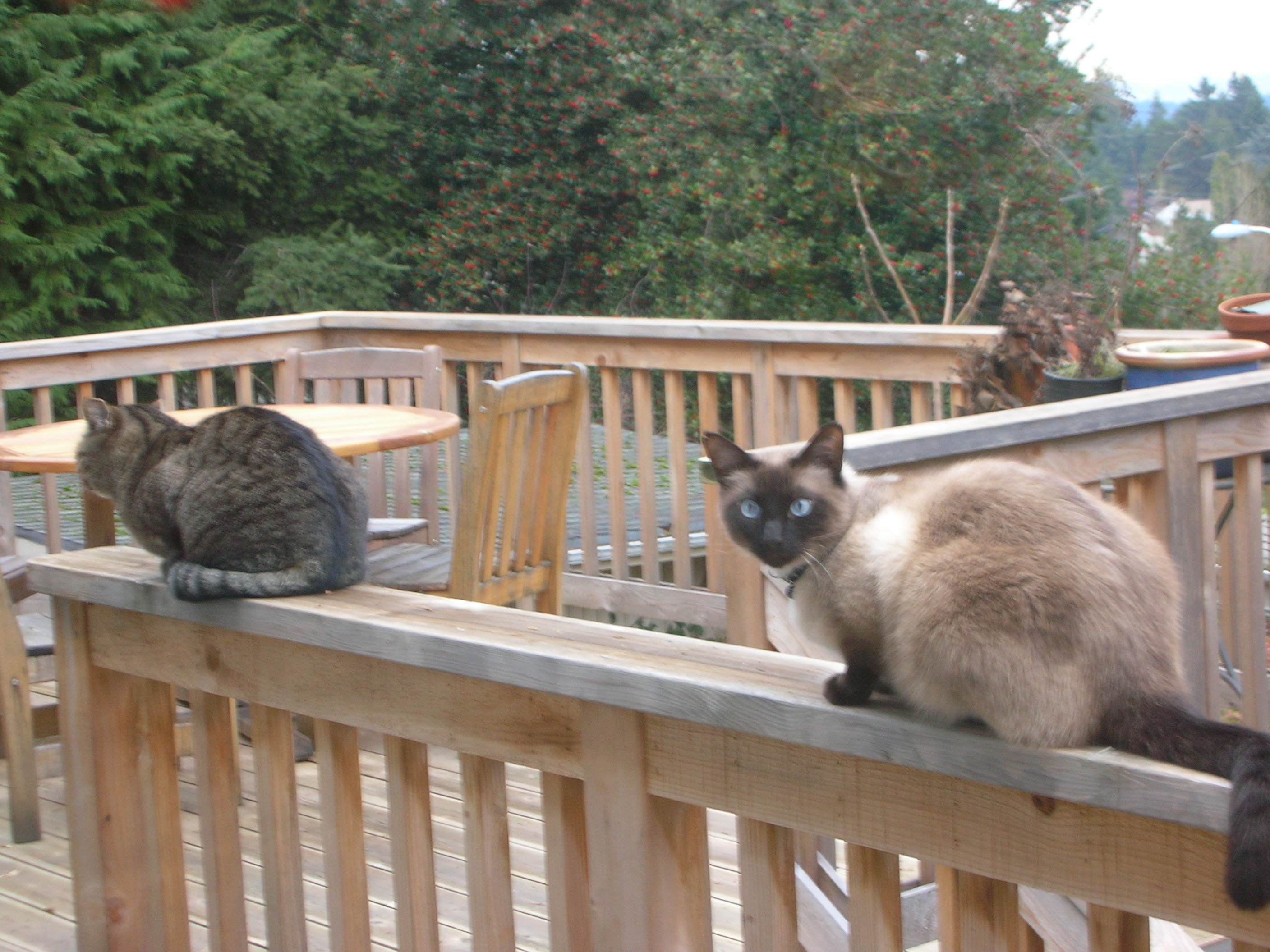 DSCN4054.jpg