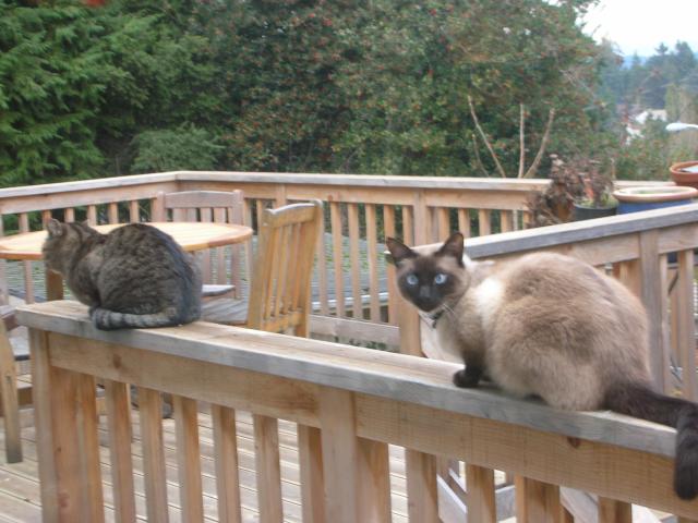 DSCN4054.jpg