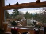 DSCN4055.jpg