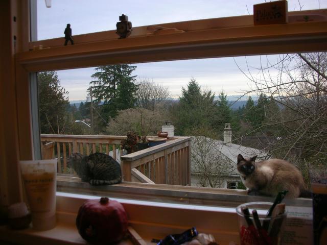 DSCN4055.jpg