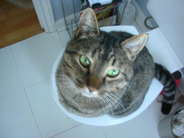DSCN4487.jpg