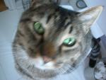 DSCN4488.jpg