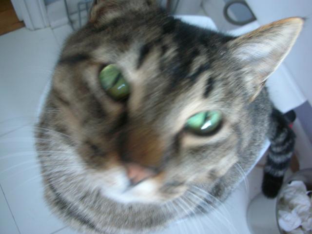 DSCN4488.jpg