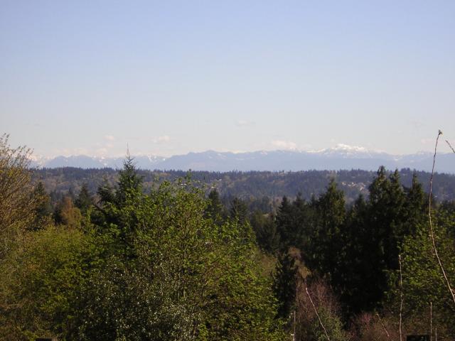 DSCN1389.jpg