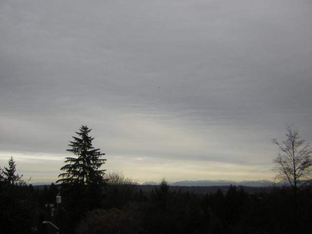 DSCN2961.jpg
