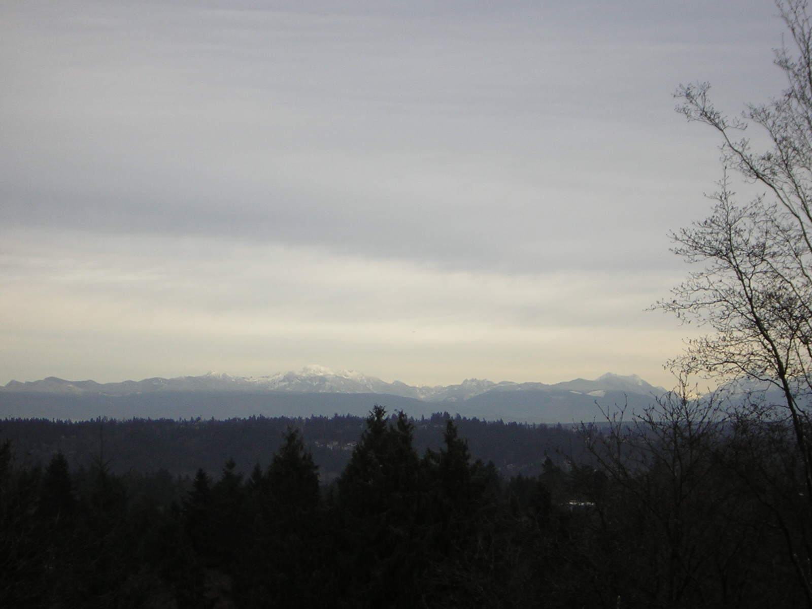 DSCN2962.jpg
