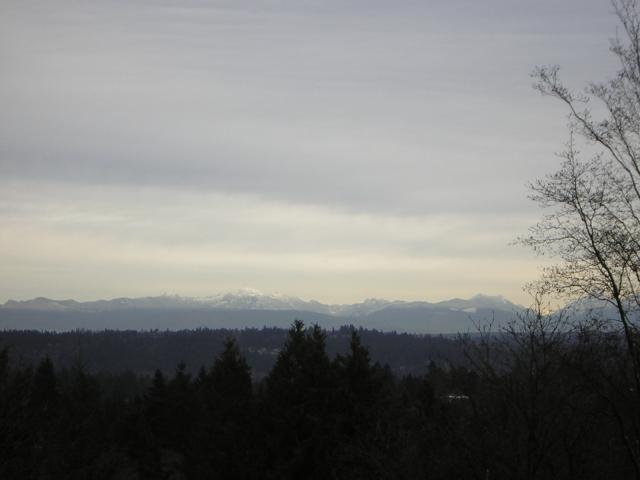 DSCN2962.jpg