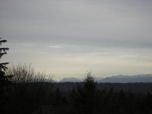 DSCN2963.jpg