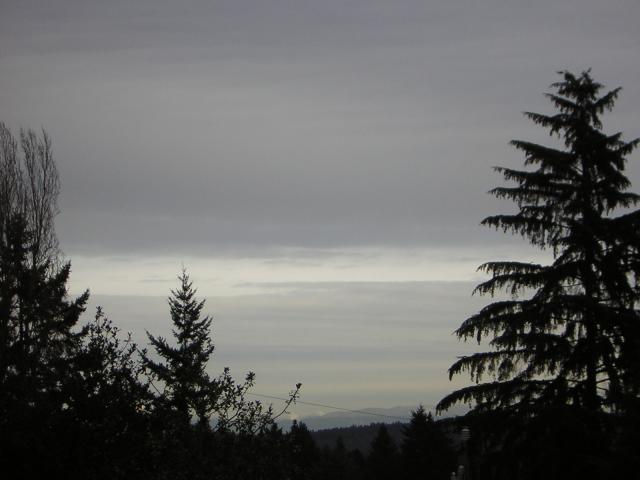 DSCN2964.jpg