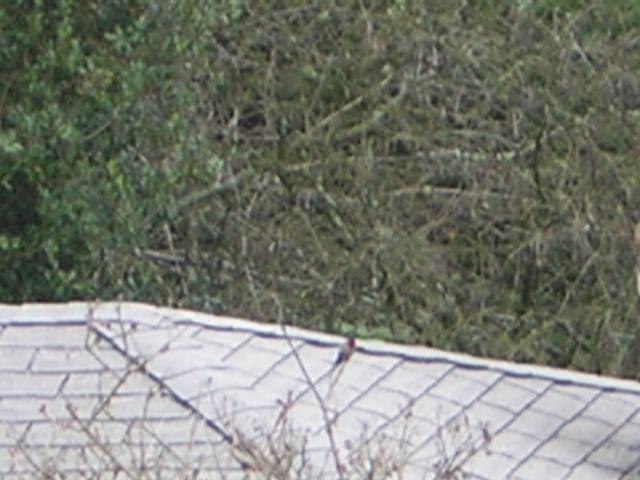 DSCN2965.jpg