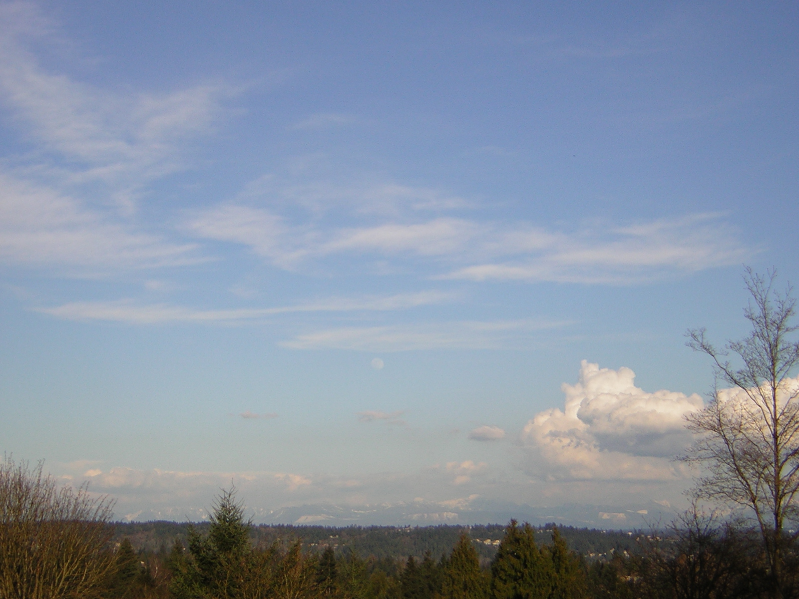 DSCN2992.jpg