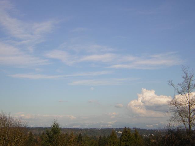 DSCN2992.jpg