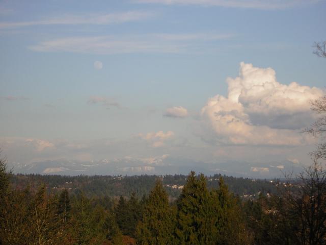 DSCN2991.jpg