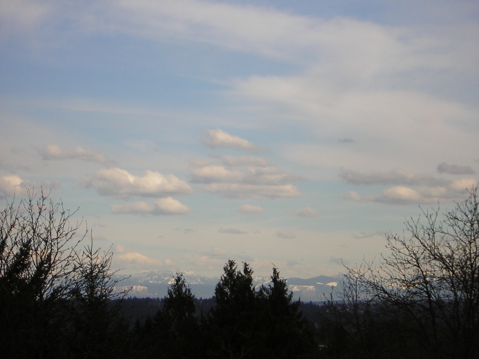 DSCN3006.jpg