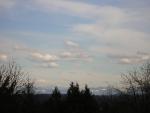 DSCN3006.jpg