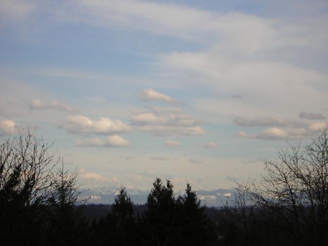 DSCN3006.jpg