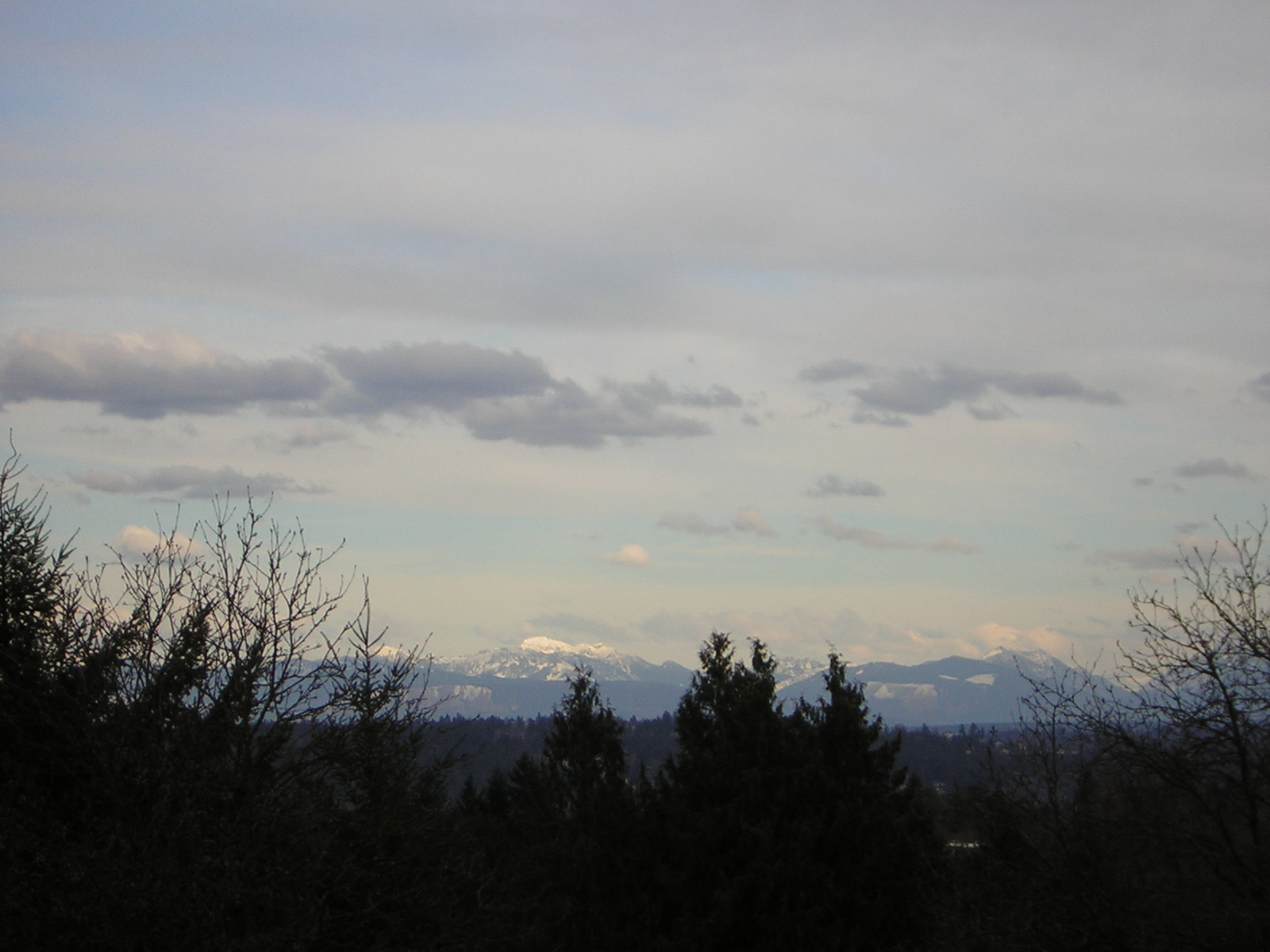DSCN3011.jpg