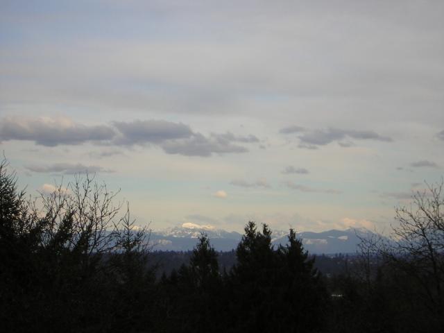 DSCN3011.jpg