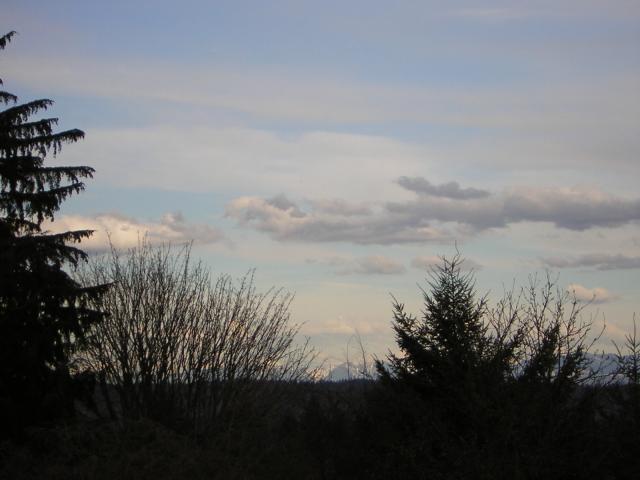 DSCN3012.jpg