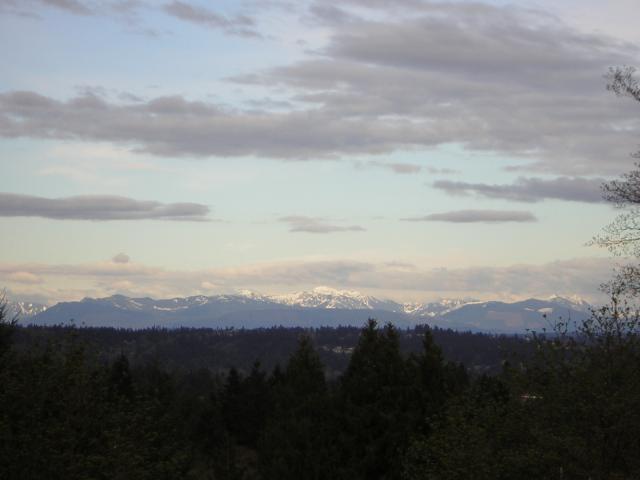 DSCN3042.jpg