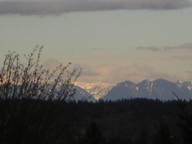DSCN3043.jpg