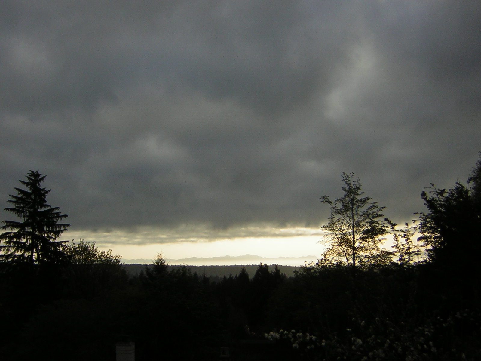 DSCN3045.jpg