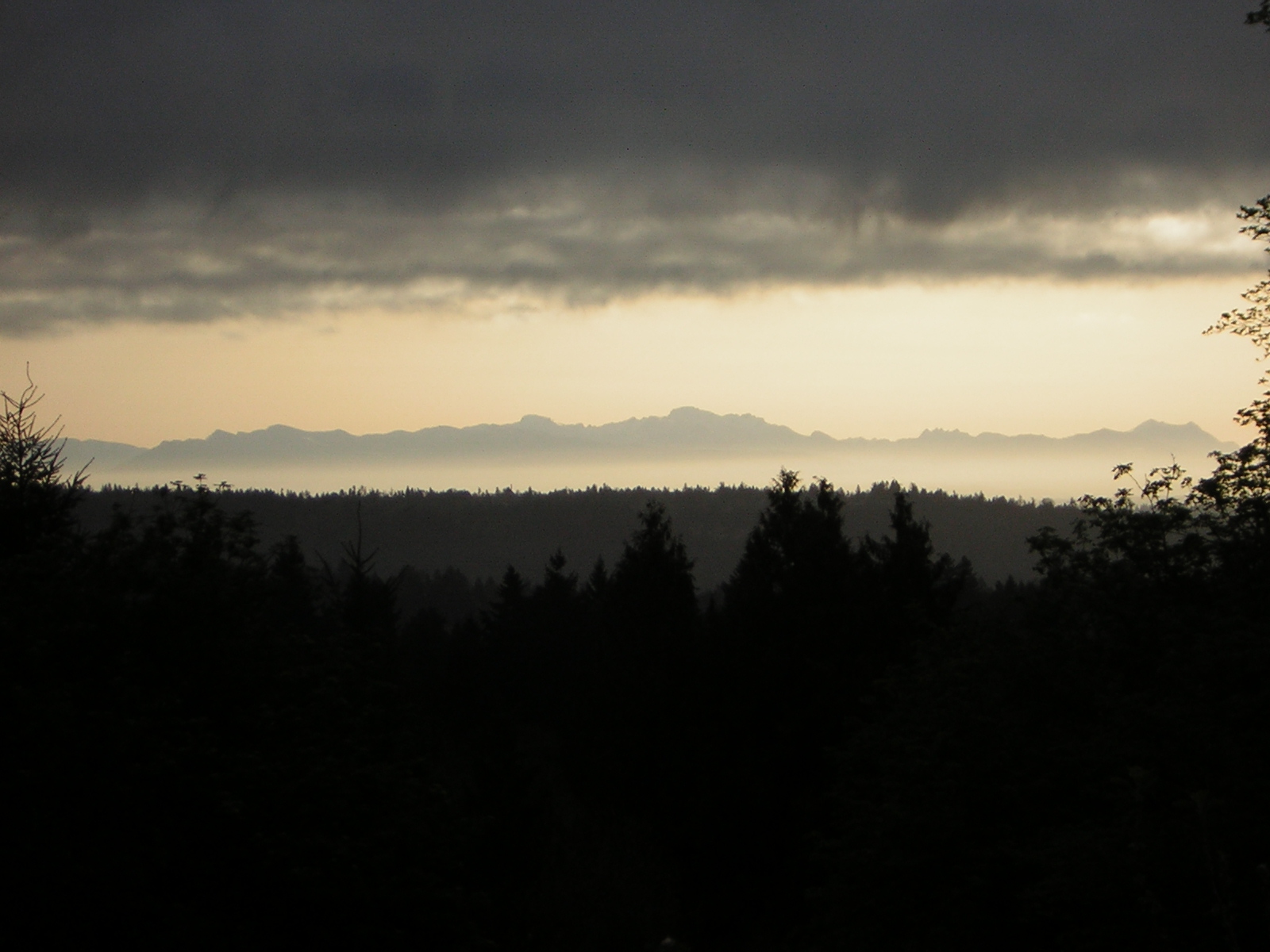 DSCN3048.jpg