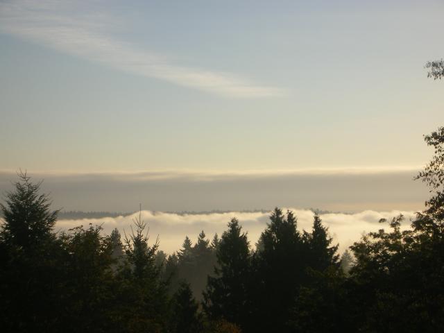 DSCN3812.jpg