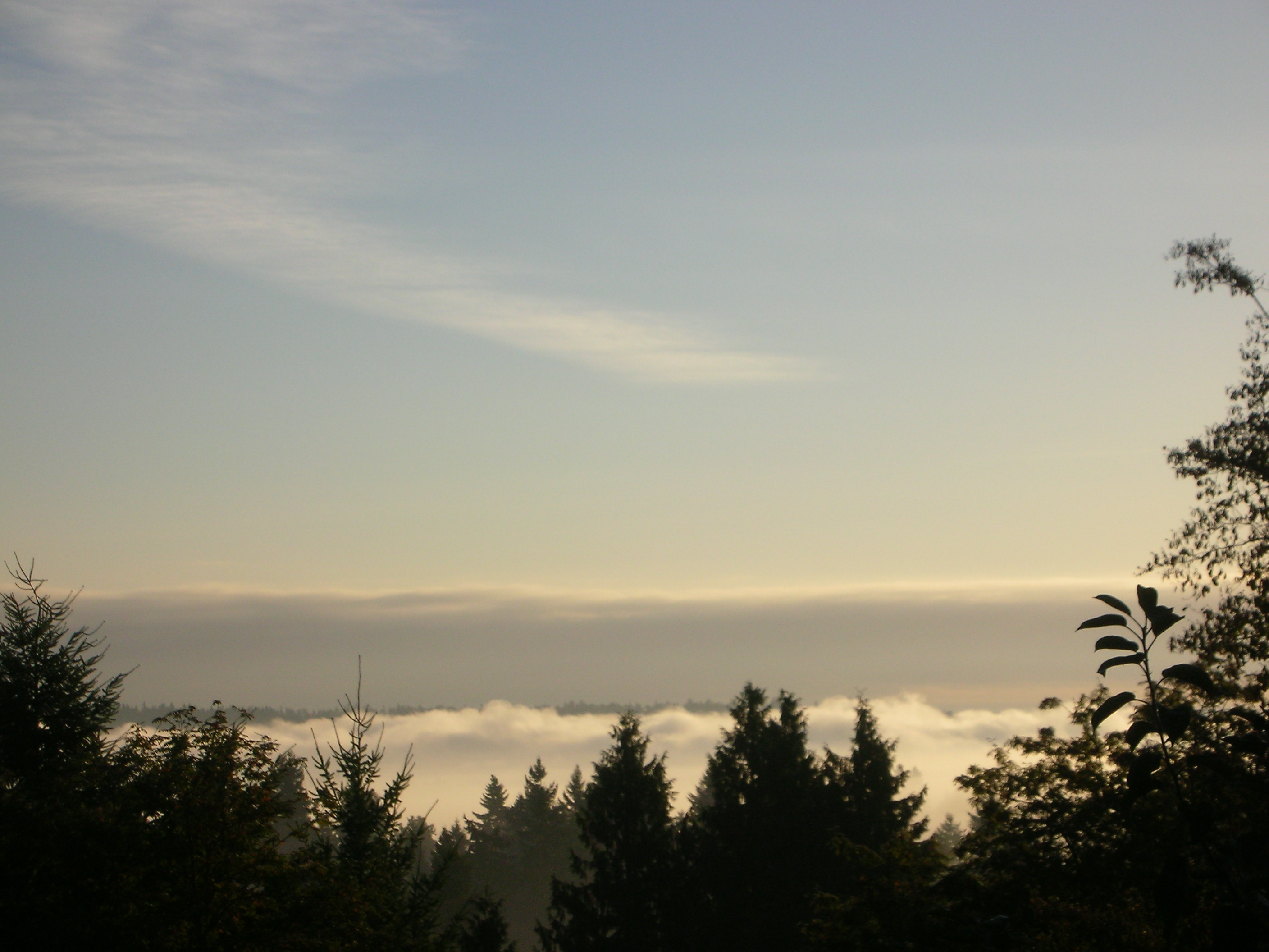 DSCN3813.jpg