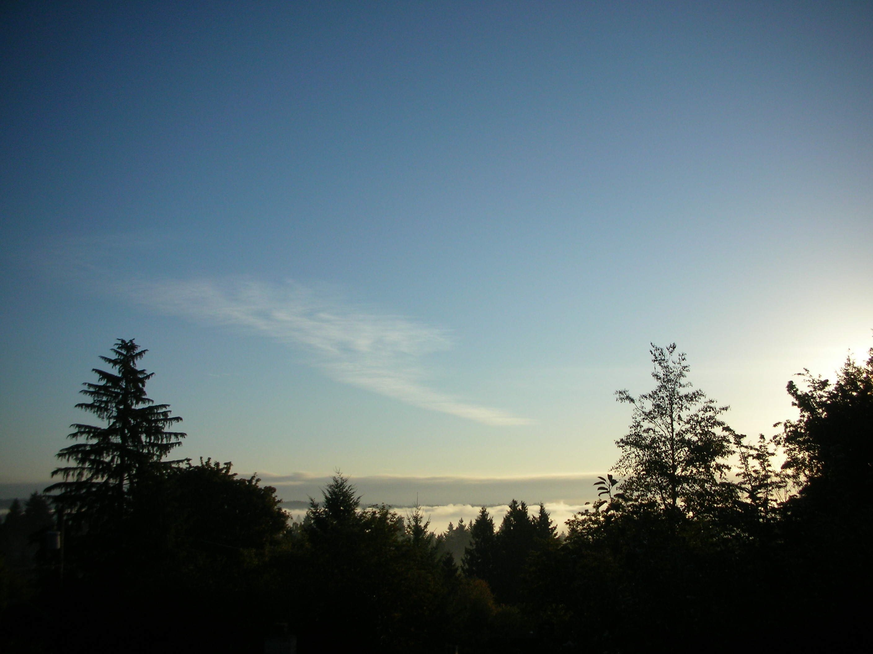 DSCN3814.jpg
