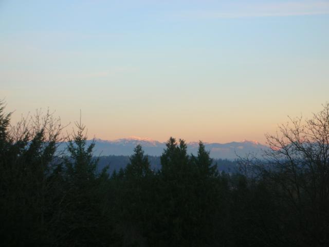 DSCN4469.jpg