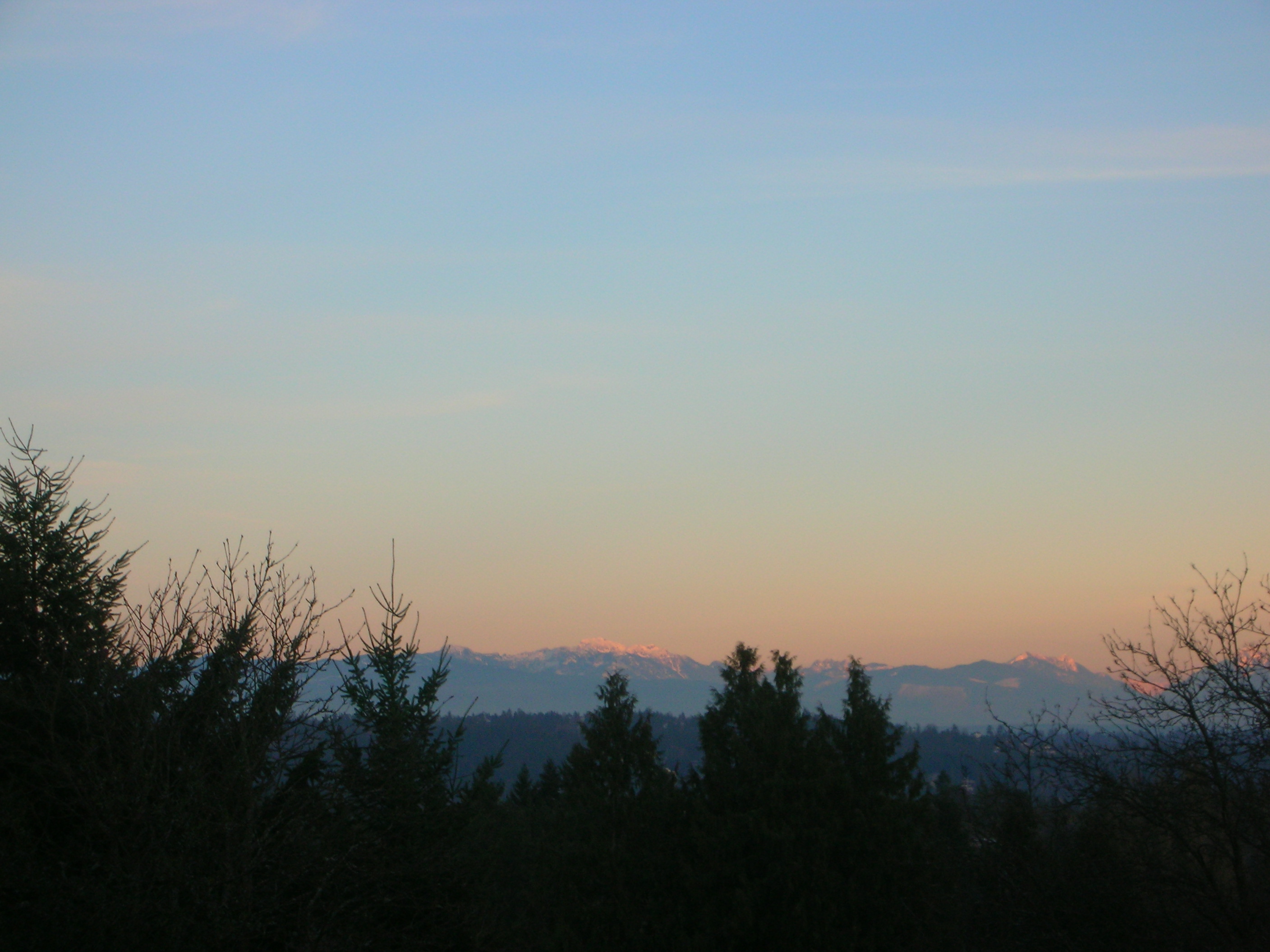 DSCN4470.jpg