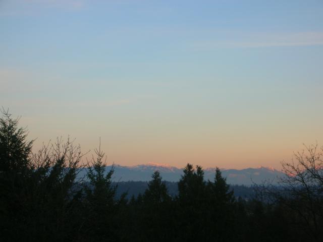 DSCN4470.jpg